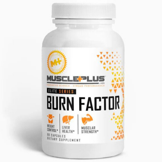 Burner Factor with MCT